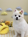 멍모닝