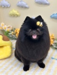 멍모닝