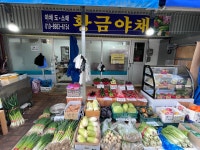 황금야채