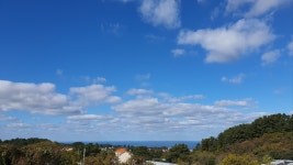 애월309뷰스테이