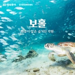 하나투어 하나비전투어