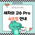 세차의고수 프로 속초점