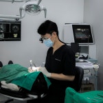 SNC시카고치과의원