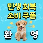 유앤미펫 강아지분양 고양이분양 용인점
