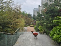 판교로얄푸르지오그랑블공인중개사사무소