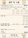 블루 독 스쿨 대형견