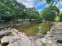 도아담감나무집농원 장성본점