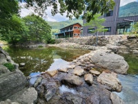 도아담감나무집농원 장성본점