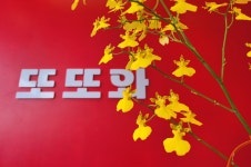 또또와공인중개사사무소