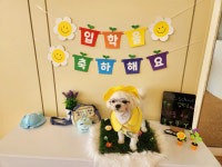 무프스유치원.호텔
