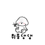 위풍댕댕