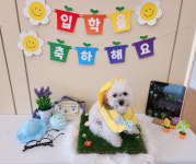 무프스유치원.호텔