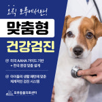 모루 동물의료센터