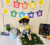 무프스유치원.호텔