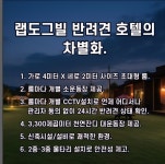 랩도그빌반려견전용캠핑장