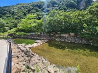 도아담감나무집농원 장성본점