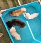 무프스유치원.호텔