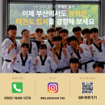 국가대표무혼태권도