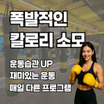 펀치플러스 복싱 신정점