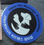 럭키하개