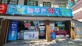 늘푸른약국