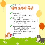 실이그루밍