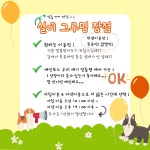 실이그루밍