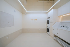 퍼피랑 애견미용 애견호텔