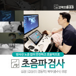 고척으뜸내과의원