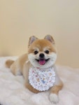 몽실몽실살롱