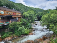 전원일기펜션오토캠핑장