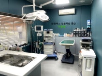 원주 문막동물병원