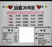 뽀송 애견미용