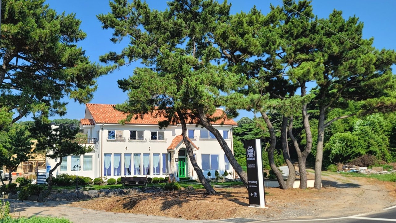 아이리스리본