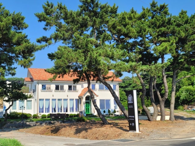 아이리스리본