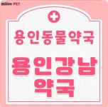 용인강남약국