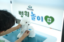 더봄 애견유치원&호텔&운동장