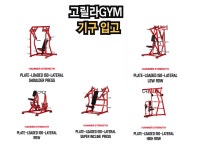 고릴라GYM 홍대점