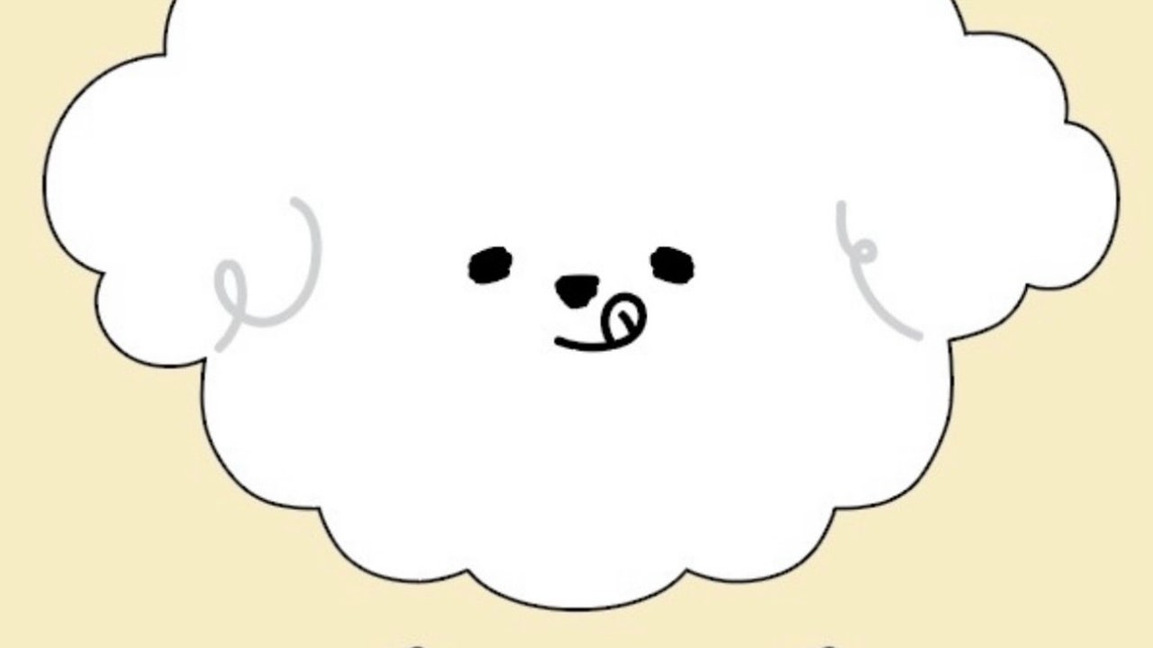 플루프
