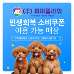 강아지분양 애견분양 퍼피플라워 하남점