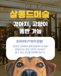 살롱드머슬