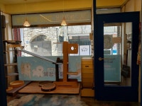 김나현의 묘견생활