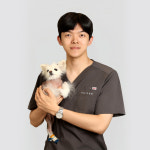김현태김동민동물의료센터