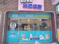 김나현의 묘견생활