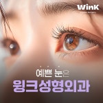 윙크성형외과의원