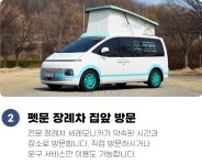 펫문 강남센터