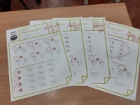 뮤엠영어 일신초점