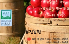 유진사과농원