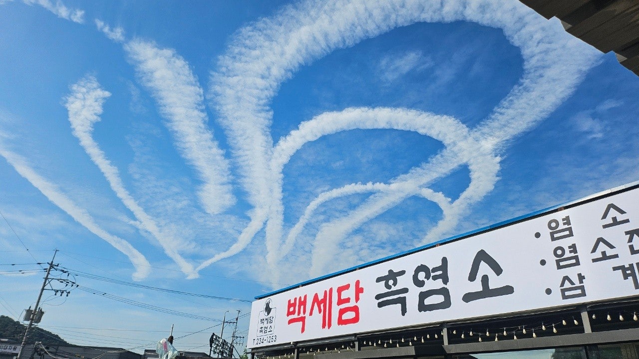 백세담 흑염소 청주 본점
