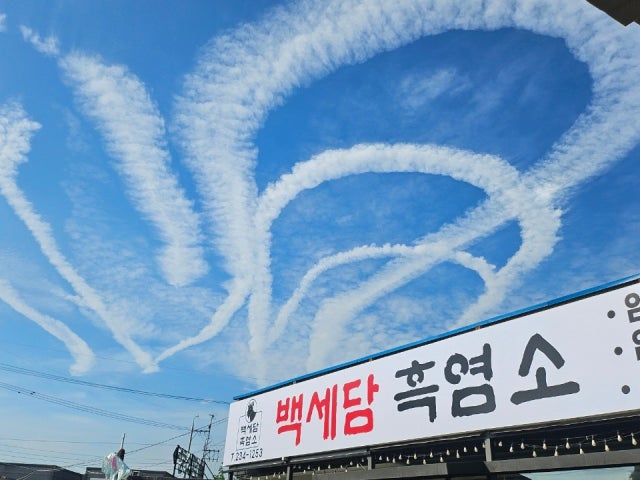 백세담 흑염소 청주 본점